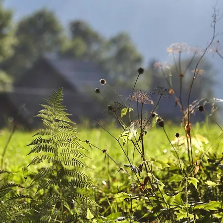 בקתה Idyllic In Beautiful Alps זגורניה יזרסקו