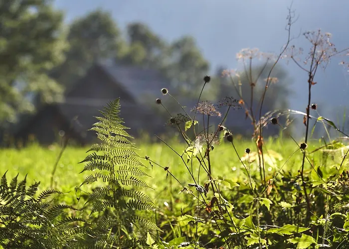 Chalet Idyllic In Beautiful Alps Zgornje Jezersko